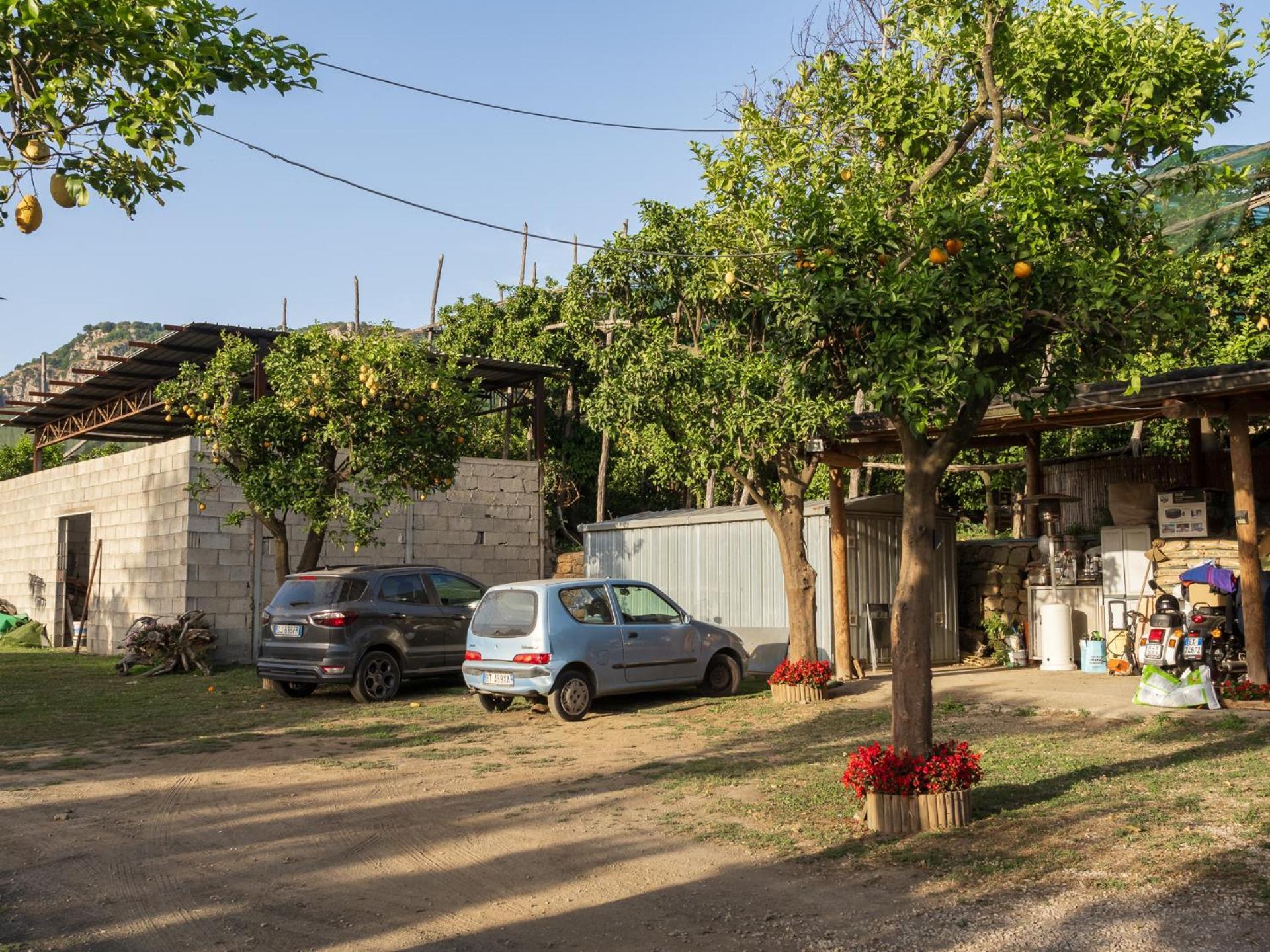 Giardino Di Nonno Lucio - Surrounded By Lemon Tree Βίλα Πιάνο ντι Σορέντο Εξωτερικό φωτογραφία