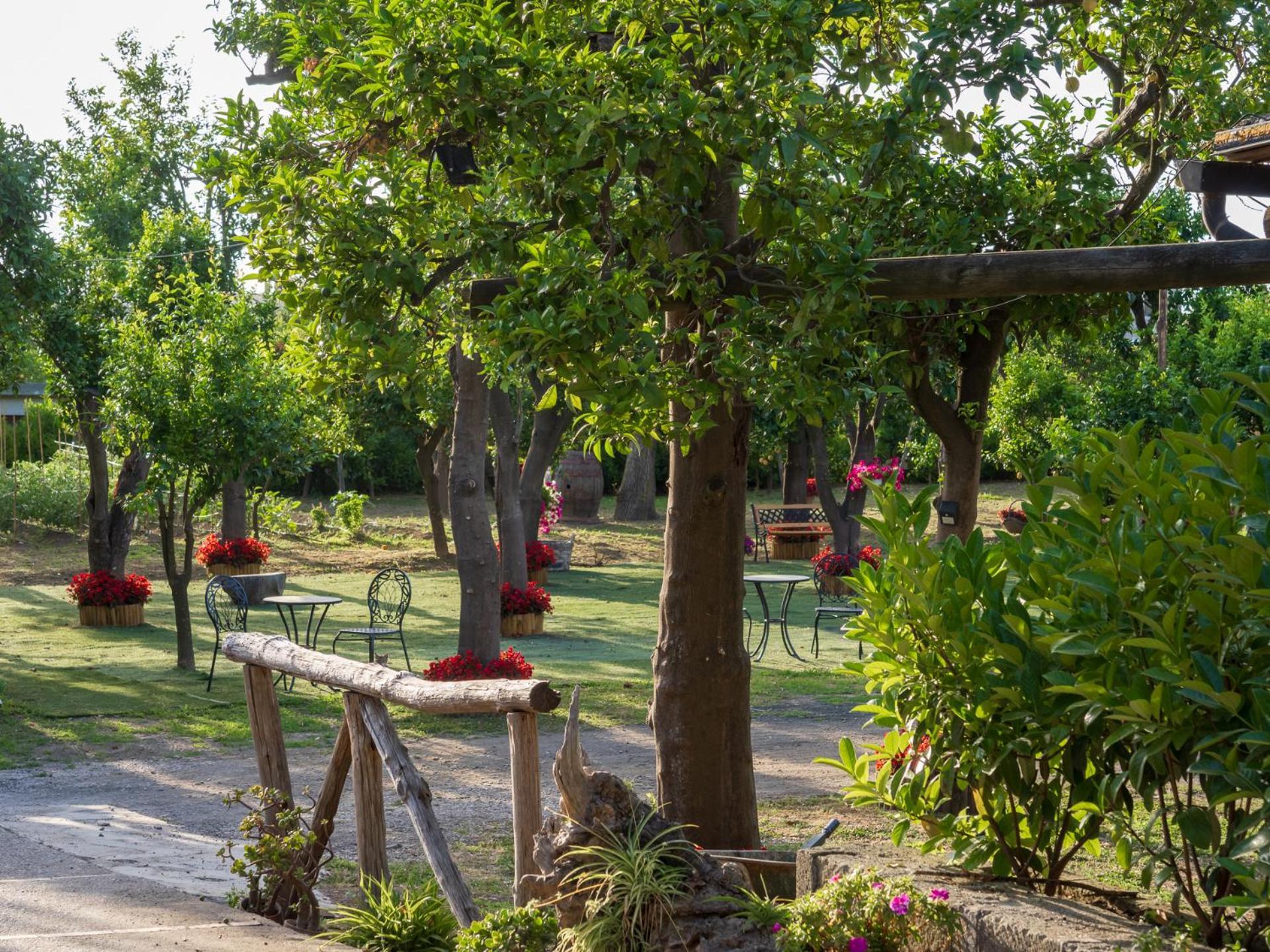 Giardino Di Nonno Lucio - Surrounded By Lemon Tree Βίλα Πιάνο ντι Σορέντο Εξωτερικό φωτογραφία