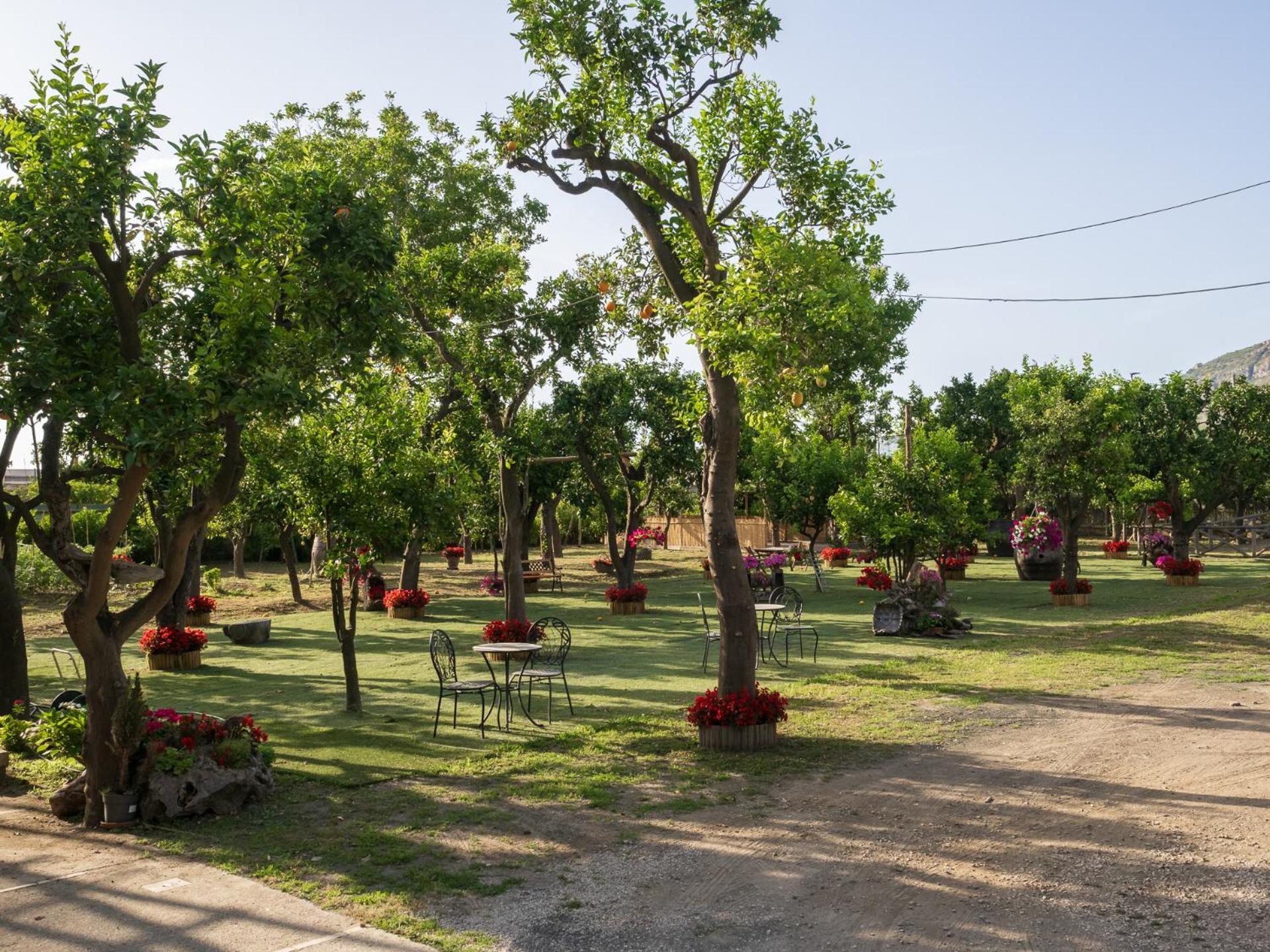 Giardino Di Nonno Lucio - Surrounded By Lemon Tree Βίλα Πιάνο ντι Σορέντο Εξωτερικό φωτογραφία