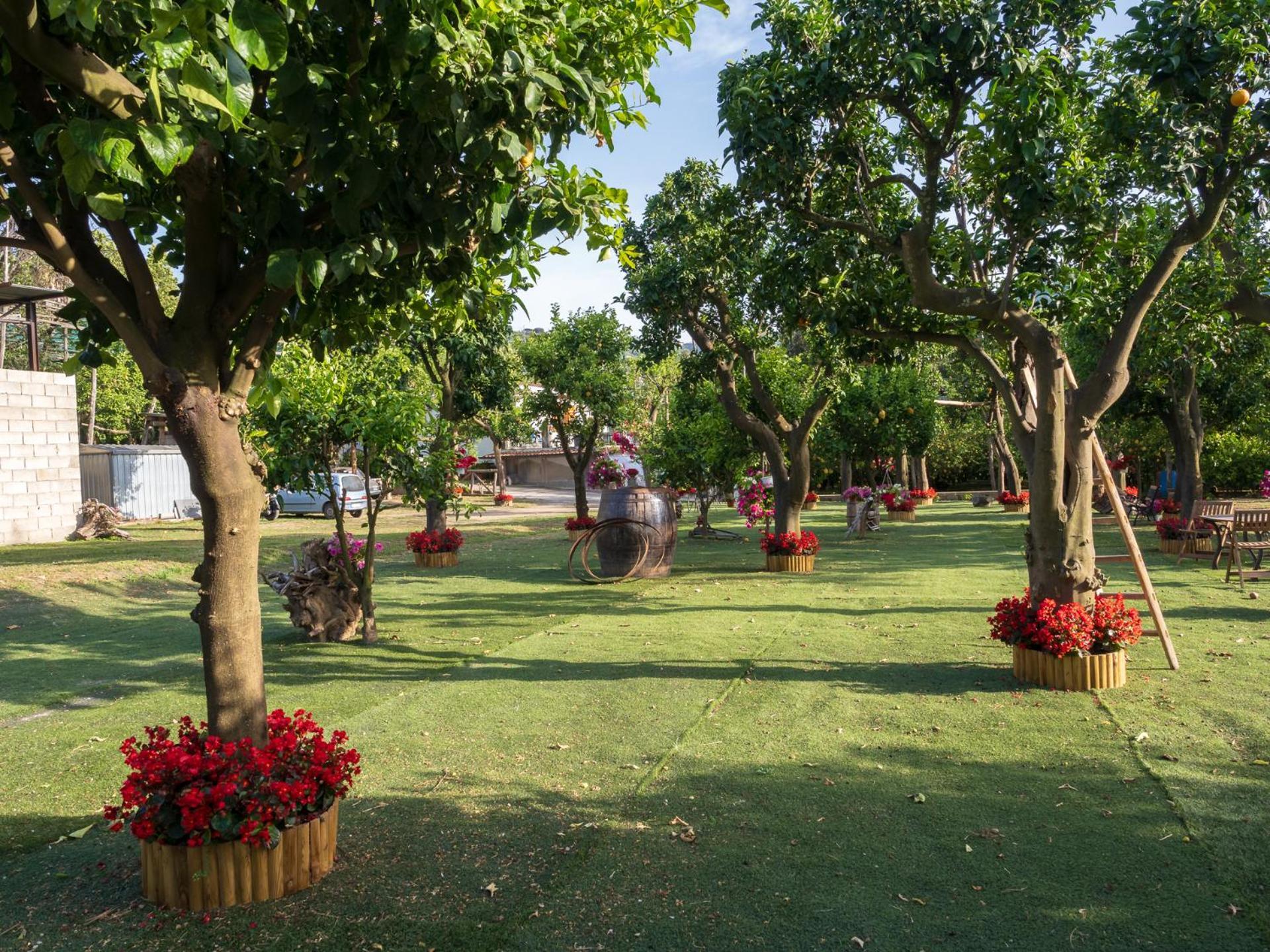 Giardino Di Nonno Lucio - Surrounded By Lemon Tree Βίλα Πιάνο ντι Σορέντο Εξωτερικό φωτογραφία