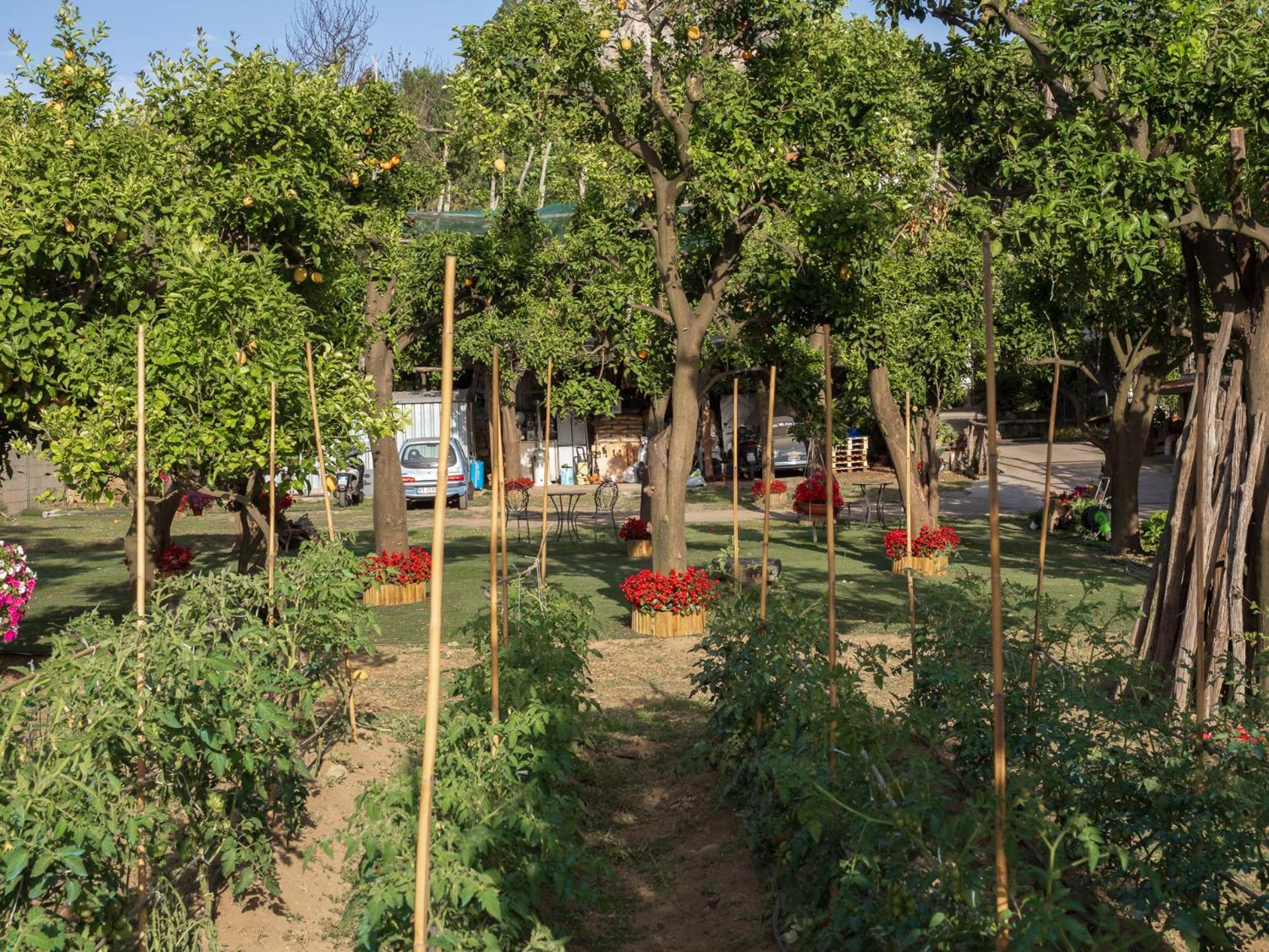 Giardino Di Nonno Lucio - Surrounded By Lemon Tree Βίλα Πιάνο ντι Σορέντο Εξωτερικό φωτογραφία