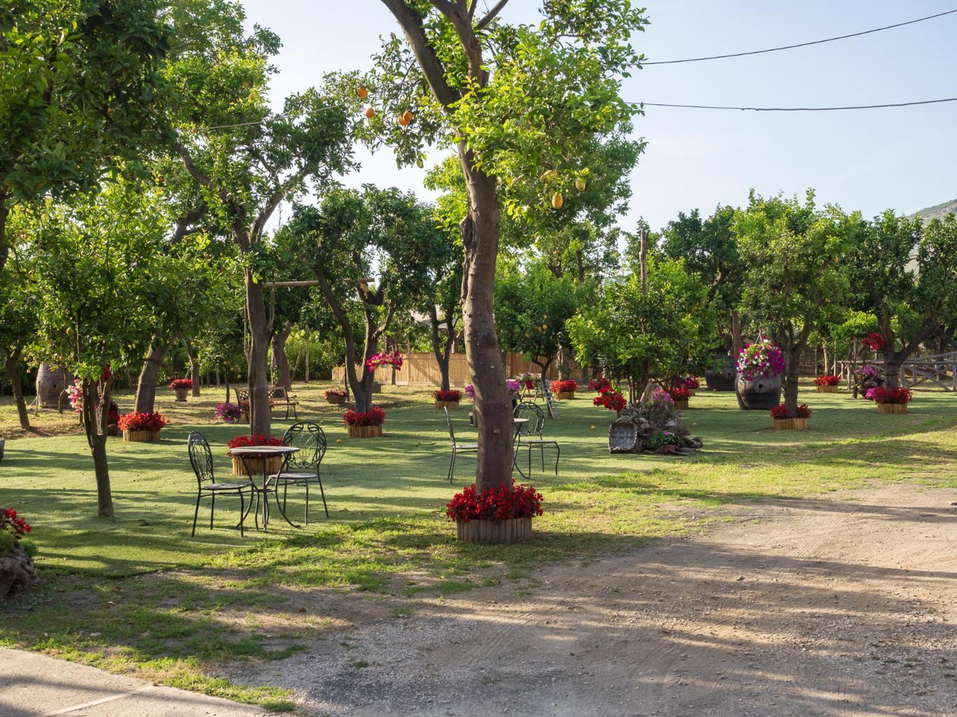 Giardino Di Nonno Lucio - Surrounded By Lemon Tree Βίλα Πιάνο ντι Σορέντο Εξωτερικό φωτογραφία
