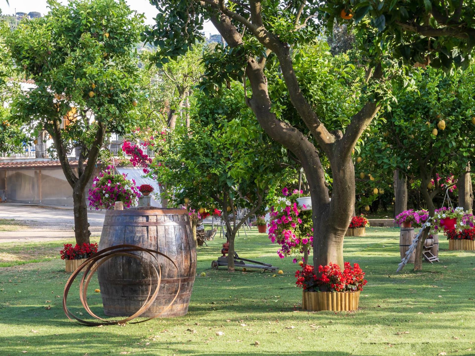 Giardino Di Nonno Lucio - Surrounded By Lemon Tree Βίλα Πιάνο ντι Σορέντο Εξωτερικό φωτογραφία