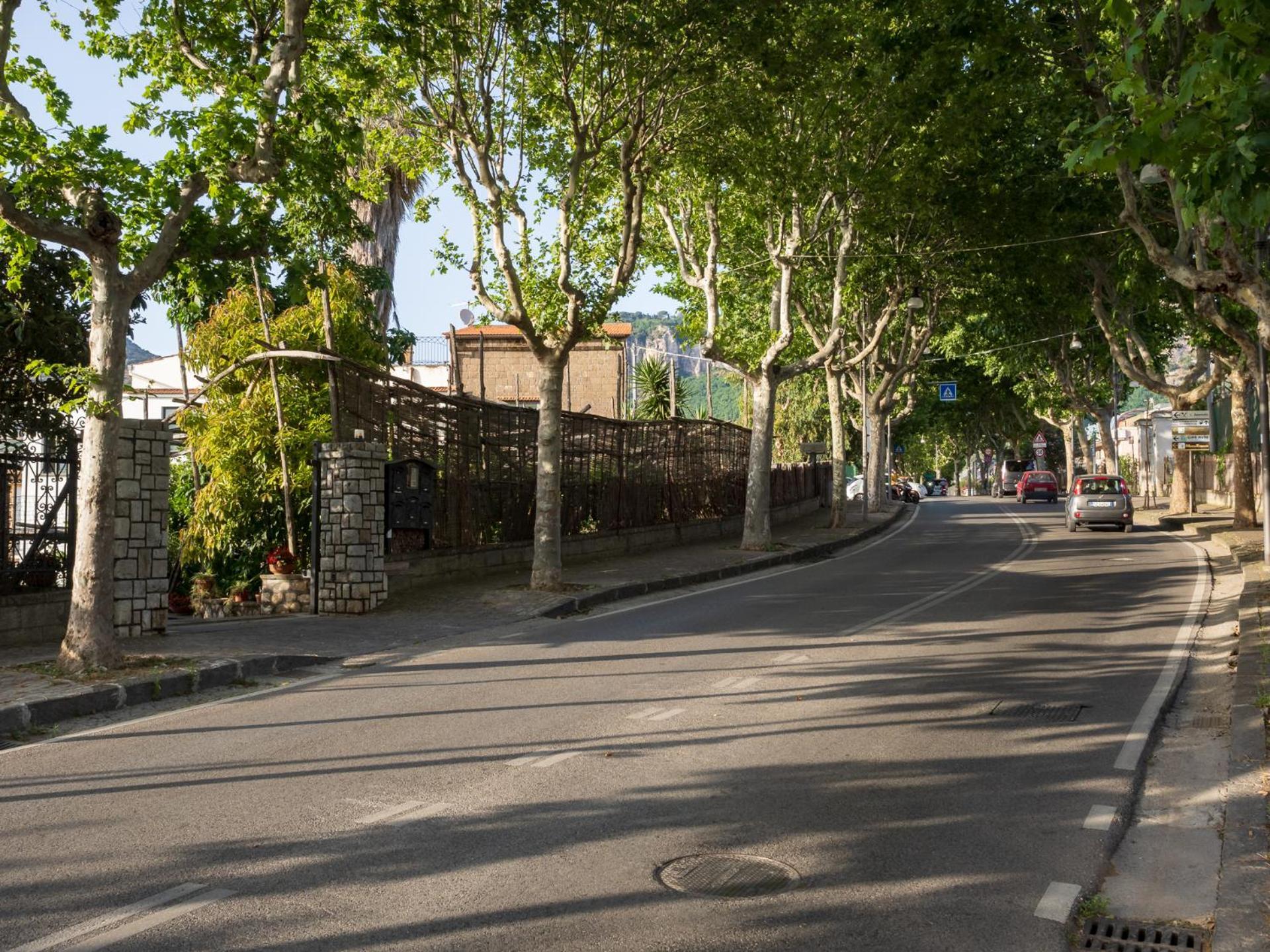 Giardino Di Nonno Lucio - Surrounded By Lemon Tree Βίλα Πιάνο ντι Σορέντο Εξωτερικό φωτογραφία