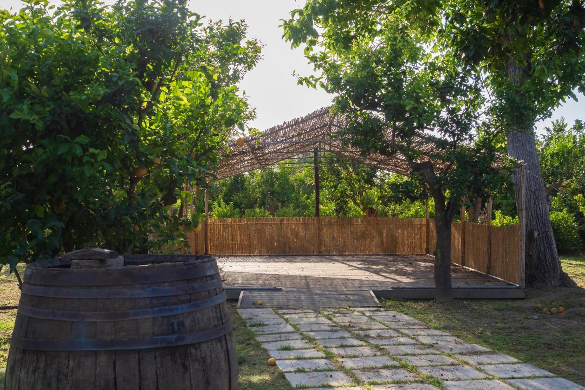 Giardino Di Nonno Lucio - Surrounded By Lemon Tree Βίλα Πιάνο ντι Σορέντο Εξωτερικό φωτογραφία