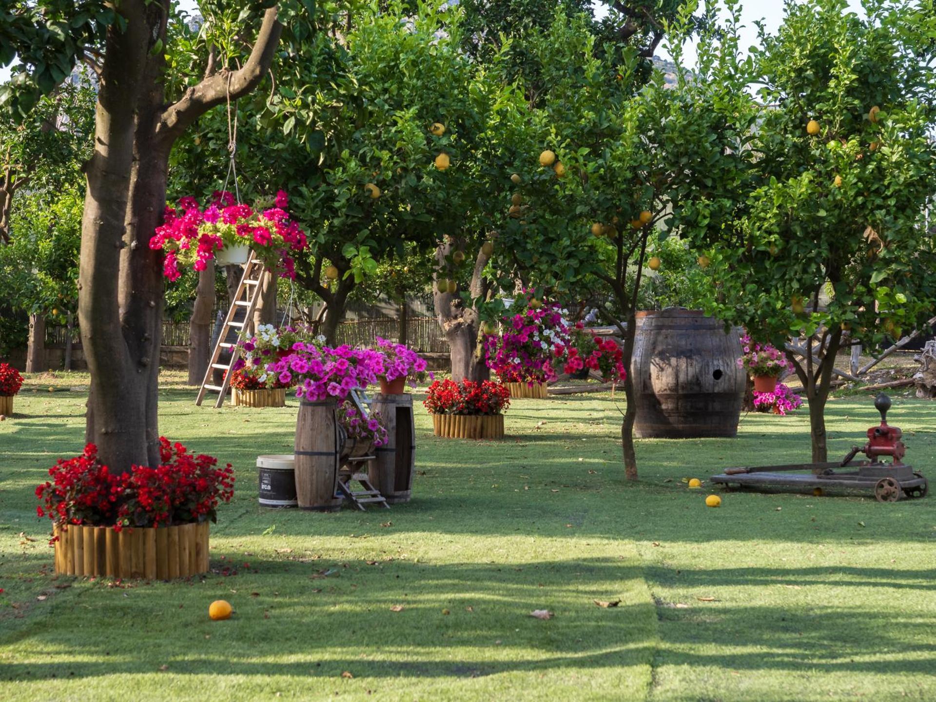 Giardino Di Nonno Lucio - Surrounded By Lemon Tree Βίλα Πιάνο ντι Σορέντο Εξωτερικό φωτογραφία