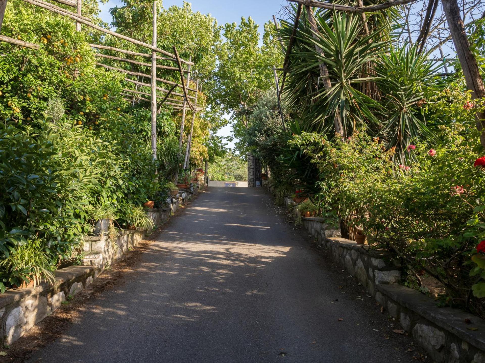 Giardino Di Nonno Lucio - Surrounded By Lemon Tree Βίλα Πιάνο ντι Σορέντο Εξωτερικό φωτογραφία
